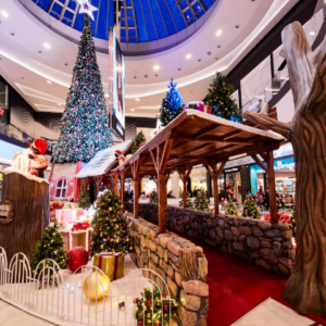 Location de décoration Noël et hiver