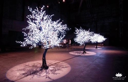 Location arbres lumineux pour décoration - Global Végétal®