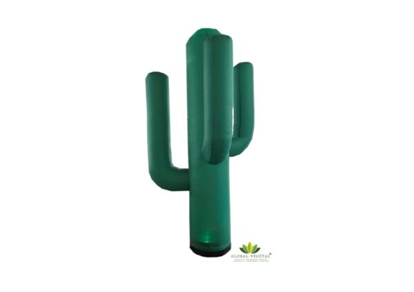 Cactus gonflable lumineux