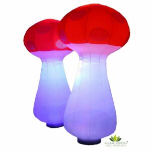 Location de champignon gonflable lumineux