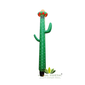 Location de cactus gonflable géant