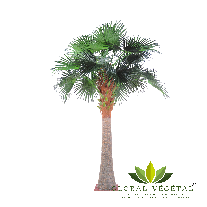 Location de palmier artificiel 3.80 mètres - Global Végétal®
