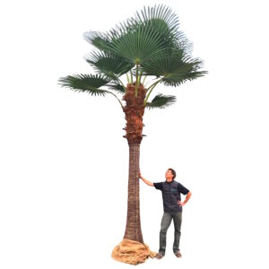 Location de palmier artificiel 5 mètres