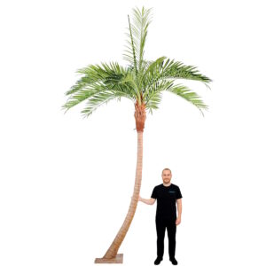 Location de palmier artificiel courbé 4 mètres