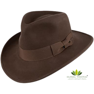 Location de chapeau Indiana Jones