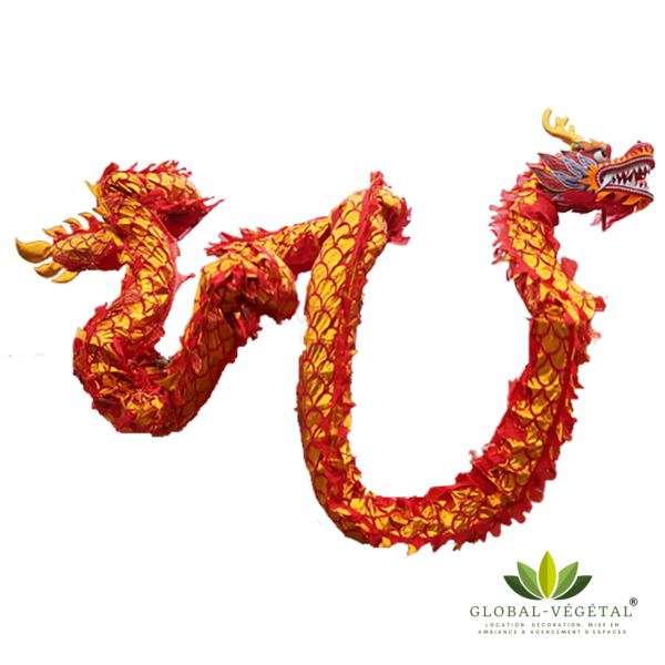 Location dragon chinois