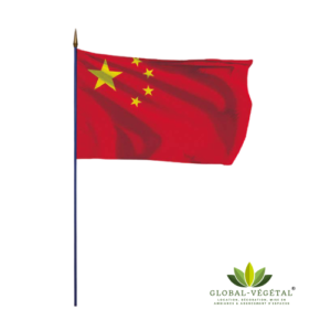 Location de drapeau chinois