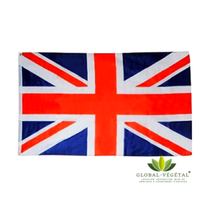 Location de drapeau Grande-Bretagne