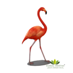 Location statue flamand rose