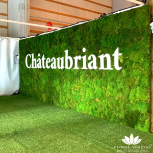 Création logo végétal géant pour Châteaubriant