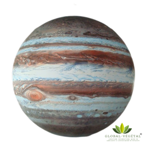 Location de Jupiter gonflable
