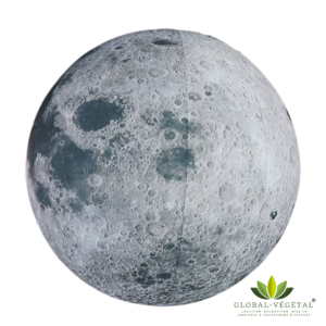 Location de Lune gonflable