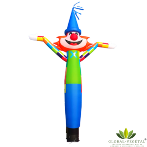 Location air-danseur clown