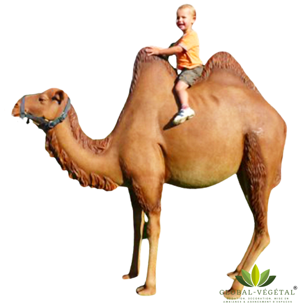Location de chameau en résine
