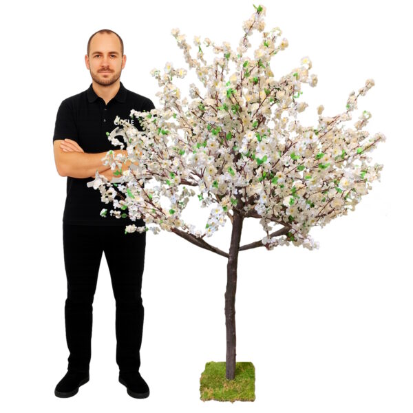 Location cerisier artificiel blanc