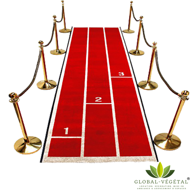 Tapis De Coureur Rouge Senneh – Design Persan, Noué Main – 2,6 X 8,9 Pieds (76 X 267 Cm) – Neuf