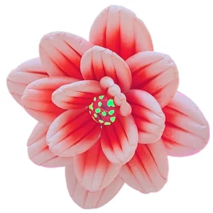 Location fleur gonflable rose pâle
