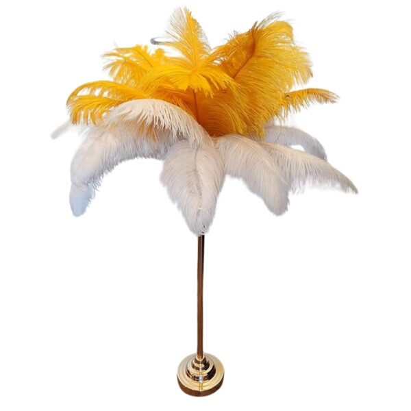 Location vase décoratif plumes oranges et blanc