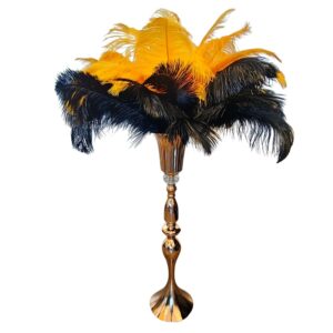 Location vase décoratif plumes oranges et noires