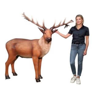 Location décoration cerf adulte