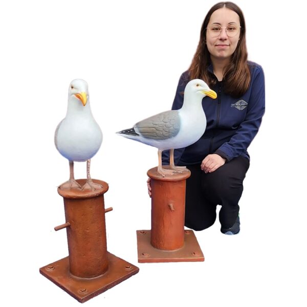 location décoration goéland sur peid