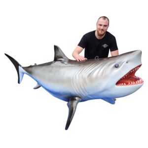 Location requin en résine