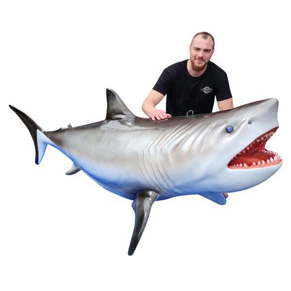 location requin en résine