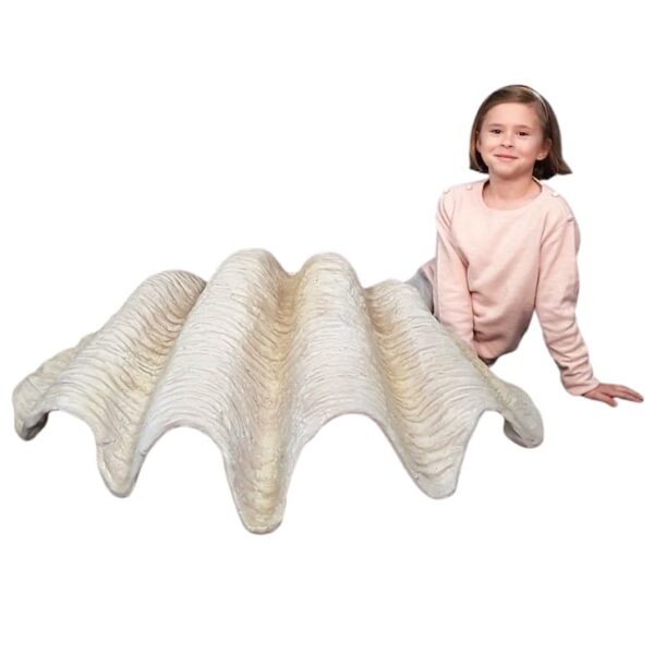 Location coquillage géant 100cm
