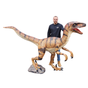 Location statue dinosaure Vélociraptor en résine