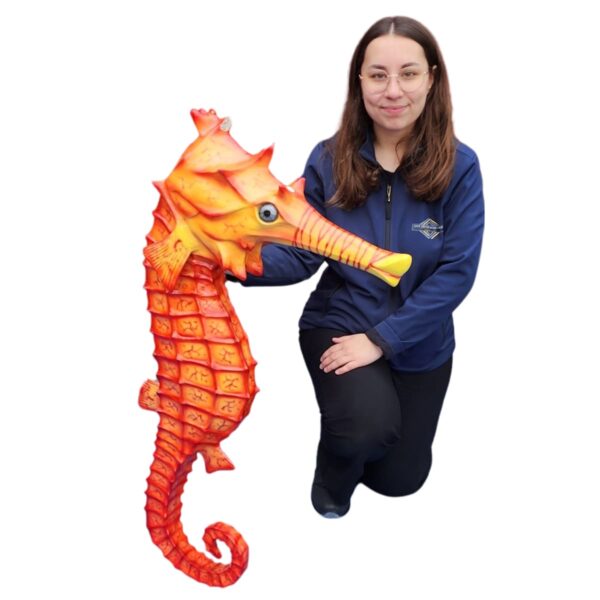 Hippocampe