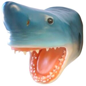 Location tête de requin bleu (petit modèle)
