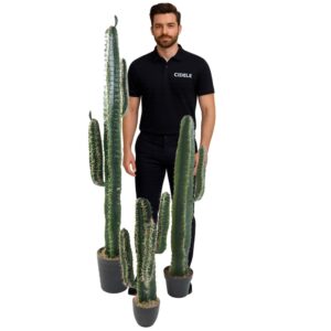 Location cactus 110cm