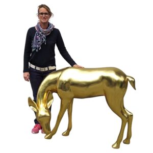 Location biche dorée