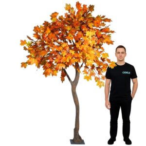 Location érable orange 270cm