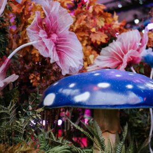 Soirée « Ici la Terre » au château de la Ferté Saint-Aubin