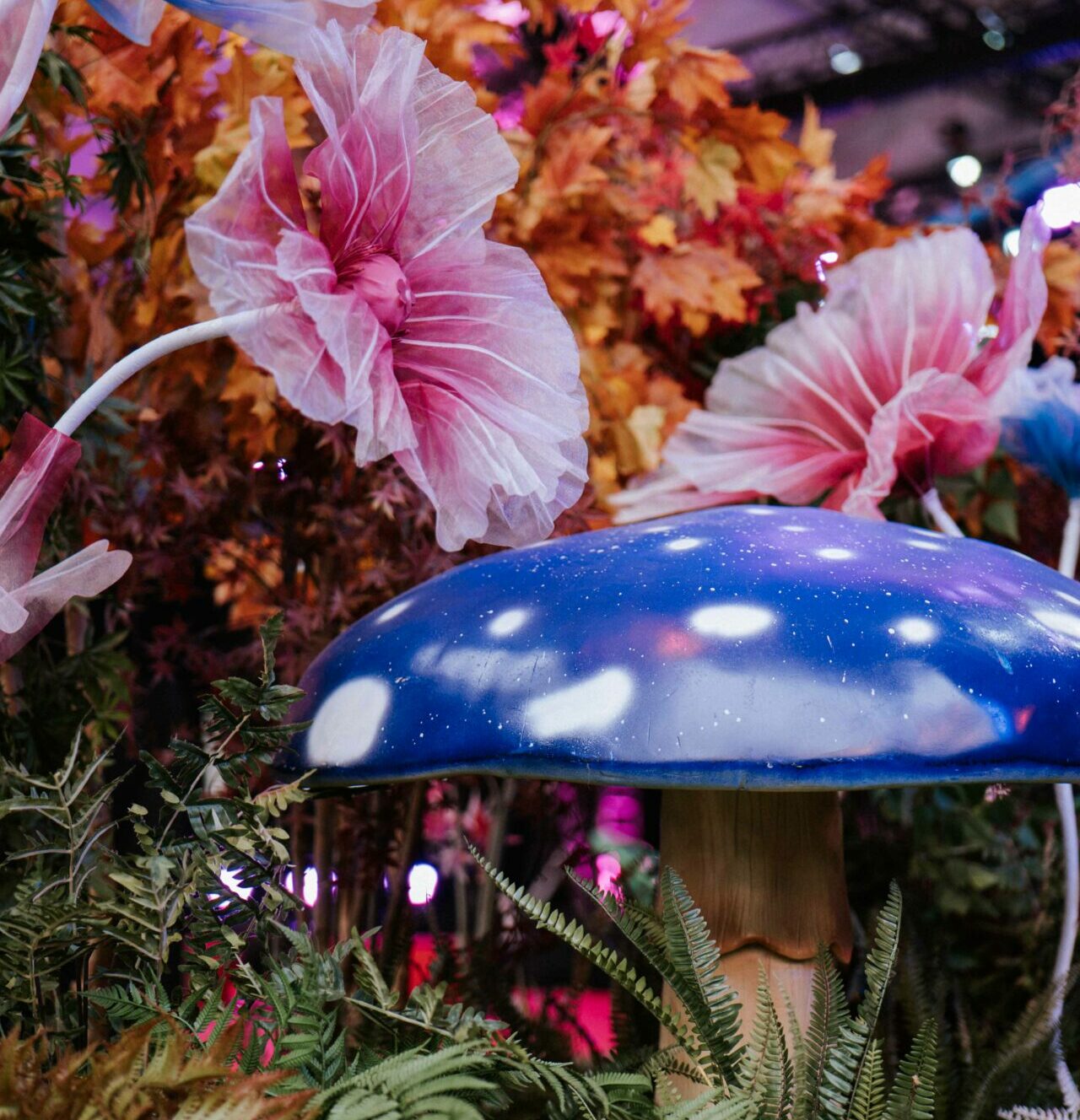scénographie décor