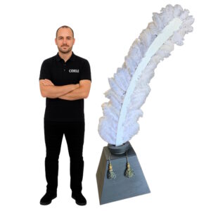 Location plume avec encrier géante