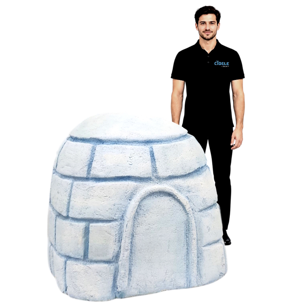 igloo noël ski montagne banquise hiver